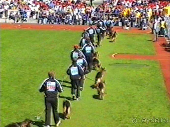 Вторая поездка в Германию на автомобиле: Зигер в Бремене