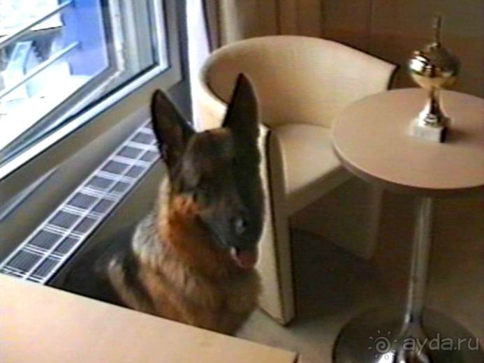 Вторая поездка в Германию на автомобиле: Зигер в Бремене