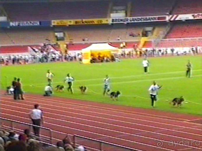 Вторая поездка в Германию на автомобиле: Зигер в Бремене