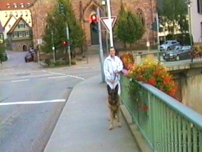 Четвертая поездка в Германию на автомобиле с немецкой овчаркой. Часть 3. Лютцен-Карлсруэ-Вайсенбах