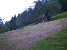 Четвертая поездка в Германию на автомобиле с немецкой овчаркой. Часть 3. Лютцен-Карлсруэ-Вайсенбах