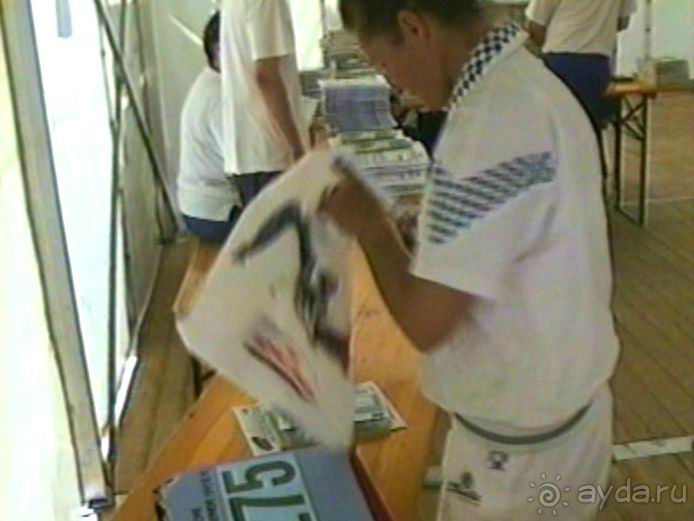 Четвертая поездка в Германию на автомобиле с немецкой овчаркой. Часть 3. Лютцен-Карлсруэ-Вайсенбах