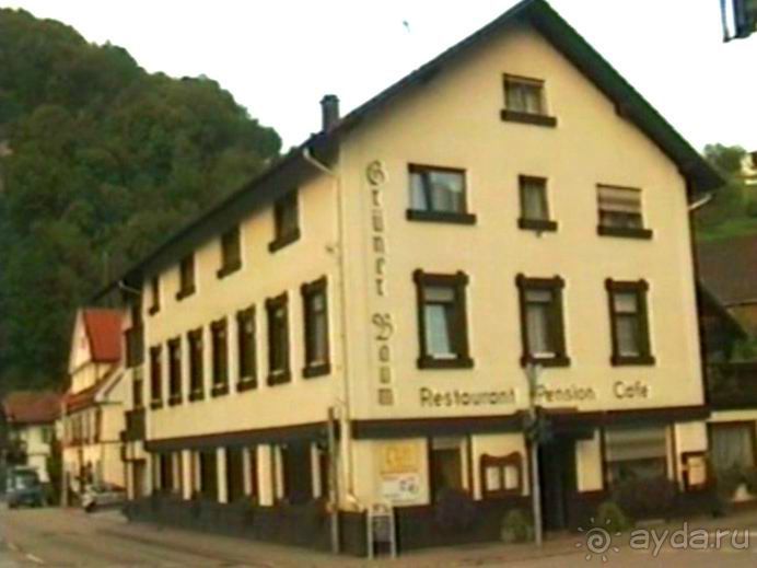 Четвертая поездка в Германию на автомобиле с немецкой овчаркой. Часть 3. Лютцен-Карлсруэ-Вайсенбах