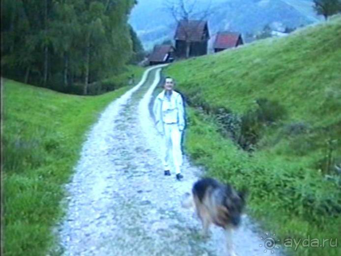 Четвертая поездка в Германию на автомобиле с немецкой овчаркой. Часть 3. Лютцен-Карлсруэ-Вайсенбах