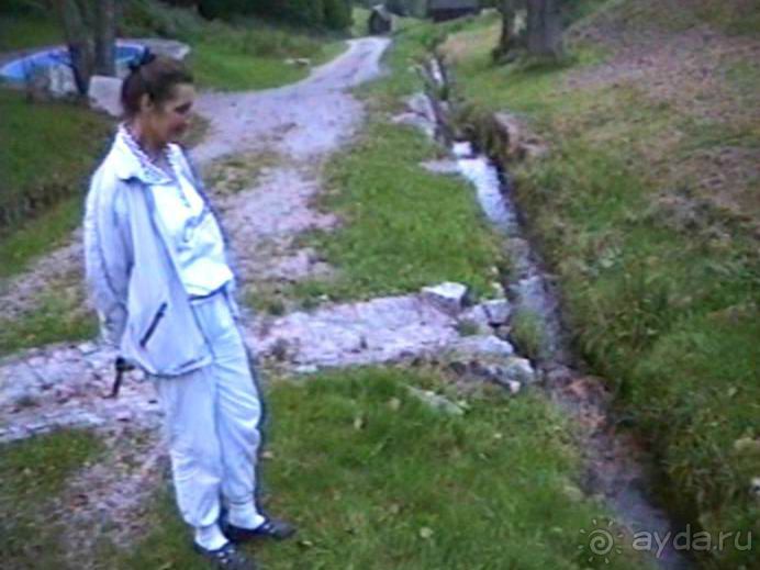 Четвертая поездка в Германию на автомобиле с немецкой овчаркой. Часть 3. Лютцен-Карлсруэ-Вайсенбах