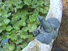 Рим и Ватикан