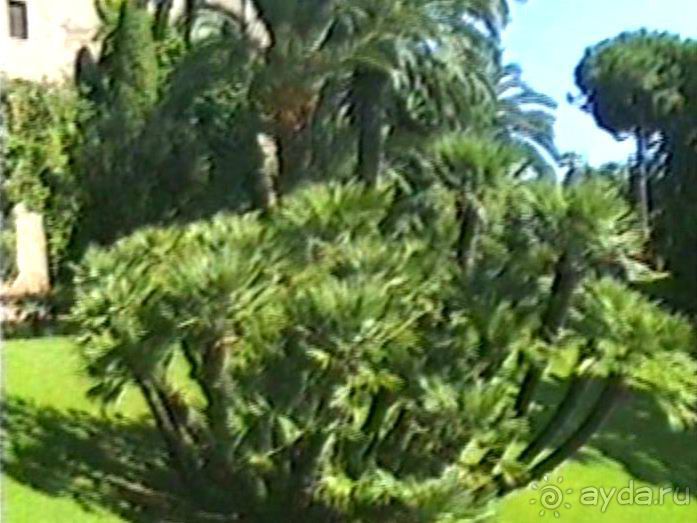 Рим и Ватикан