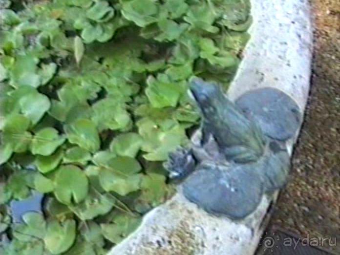 Рим и Ватикан