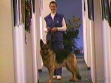 Капут – городок под Потсдамом