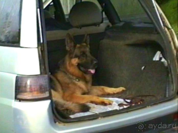 Капут – городок под Потсдамом