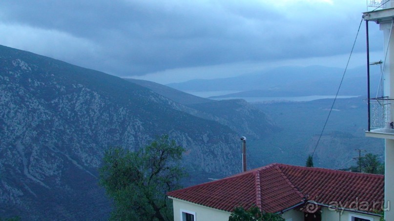 фото Дельфы