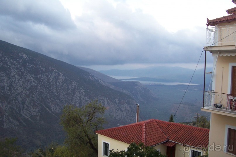 фото Дельфы