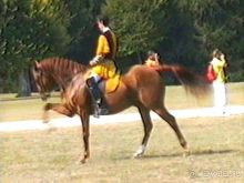 Орлеан, Тур и замки Луары