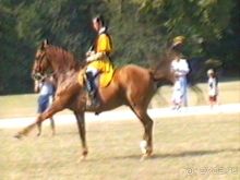 Орлеан, Тур и замки Луары