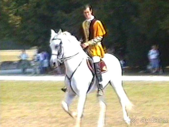 Орлеан, Тур и замки Луары