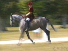 Орлеан, Тур и замки Луары