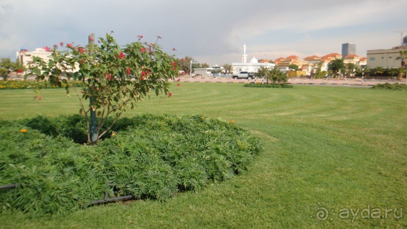 Эмираты в декабре: часть 4. Прогулки по Шардже 