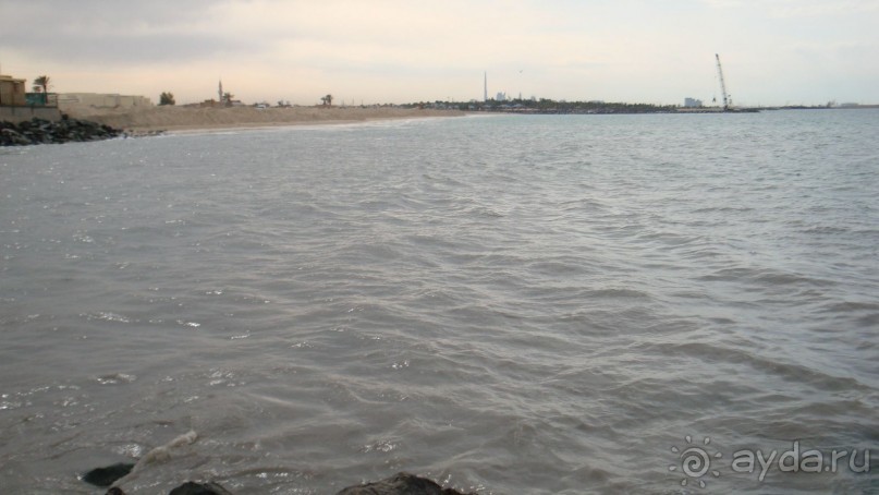 Эмираты в декабре: часть 4. Прогулки по Шардже 