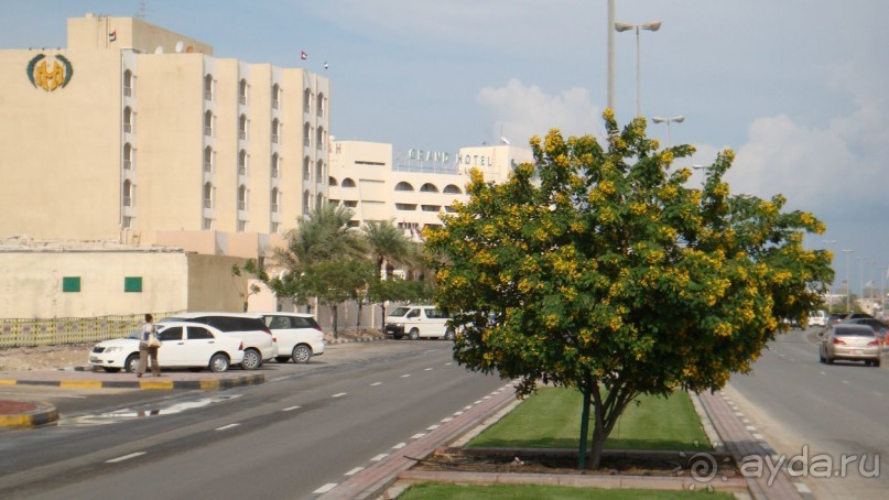 Эмираты в декабре: часть 4. Прогулки по Шардже 