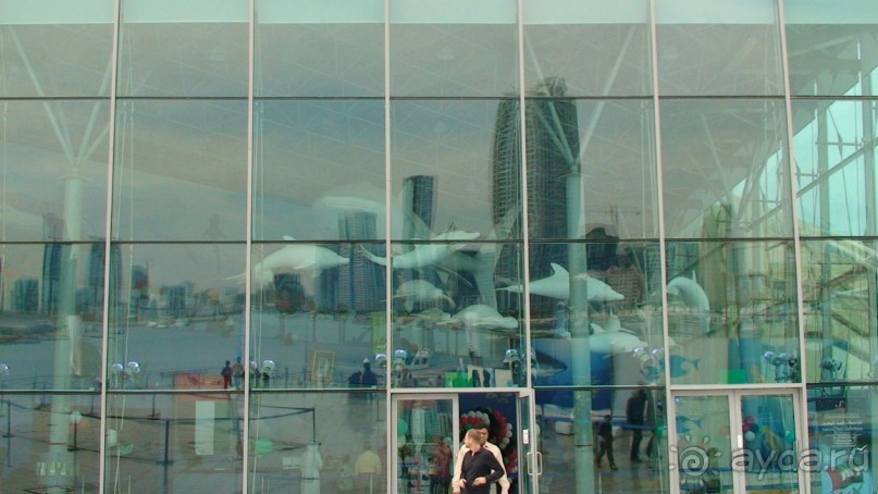 Эмираты в декабре: часть 4. Прогулки по Шардже 