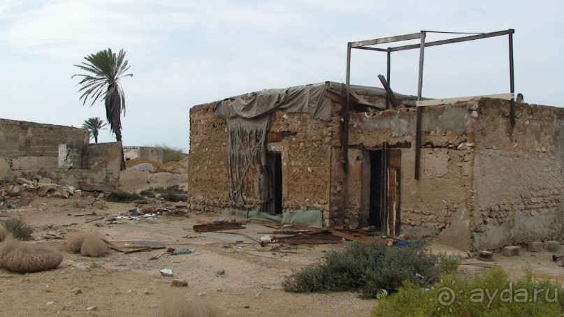 Эмираты в декабре: часть 4. Прогулки по Шардже 