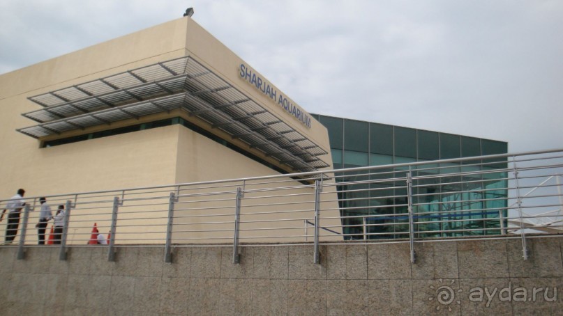 Эмираты в декабре: часть 4. Прогулки по Шардже 