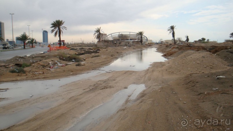 Эмираты в декабре: часть 4. Прогулки по Шардже 