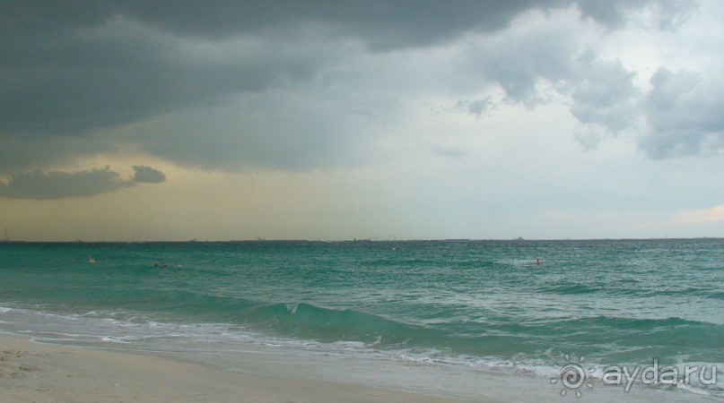 Эмираты в декабре: часть 4. Прогулки по Шардже 