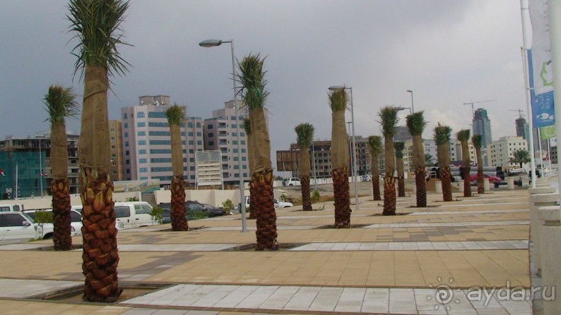 Эмираты в декабре: часть 4. Прогулки по Шардже 