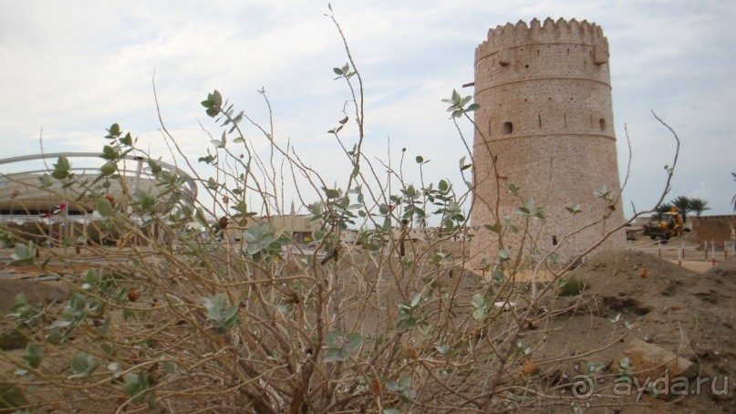 Эмираты в декабре: часть 4. Прогулки по Шардже 