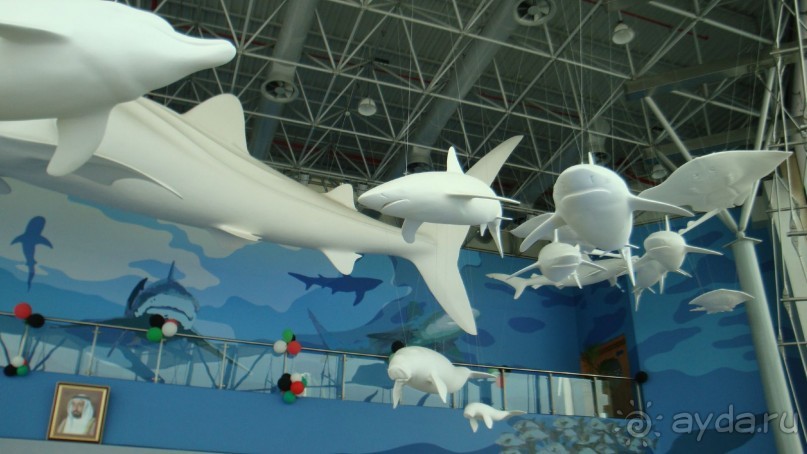 Эмираты в декабре: часть 4. Прогулки по Шардже 