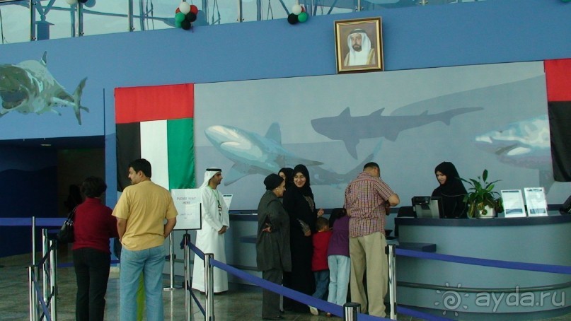 Эмираты в декабре: часть 4. Прогулки по Шардже 