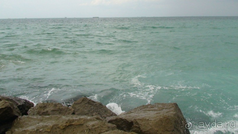 Эмираты в декабре: часть 4. Прогулки по Шардже 