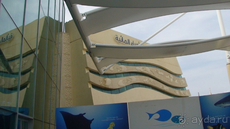 Эмираты в декабре: часть 4. Прогулки по Шардже 