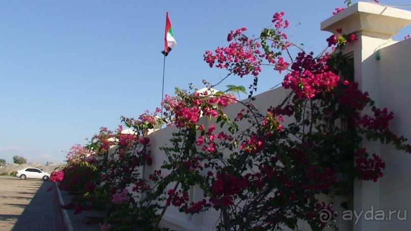 Эмираты в декабре: часть 6 - Аджман, Умм-эль-Кайвайн, Рас-эль-Хайма 