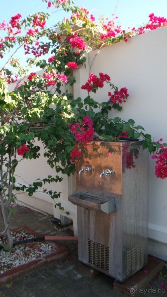 Эмираты в декабре: часть 6 - Аджман, Умм-эль-Кайвайн, Рас-эль-Хайма 