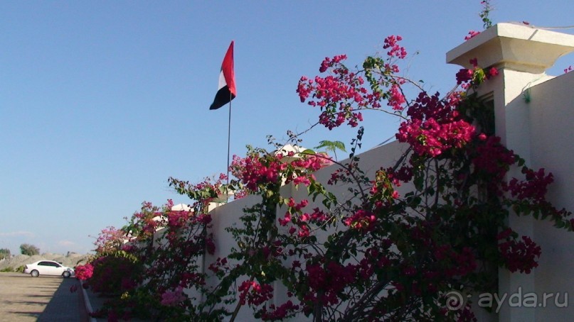 Эмираты в декабре: часть 6 - Аджман, Умм-эль-Кайвайн, Рас-эль-Хайма 