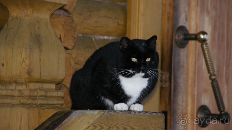 Альбом отзыва "Паратунка и Церковь Иконы Божией Матери-Живоносный Источник"