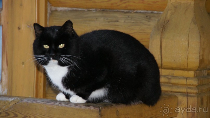 Альбом отзыва "Паратунка и Церковь Иконы Божией Матери-Живоносный Источник"