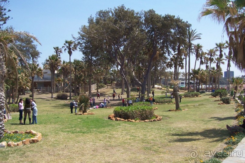 Альбом отзыва "Египет часть 15: Александрия: античная и современная"