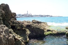 Альбом отзыва "Египет часть 15: Александрия: античная и современная"