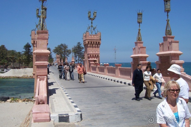 Альбом отзыва "Египет часть 15: Александрия: античная и современная"