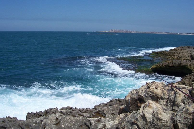 Альбом отзыва "Египет часть 15: Александрия: античная и современная"