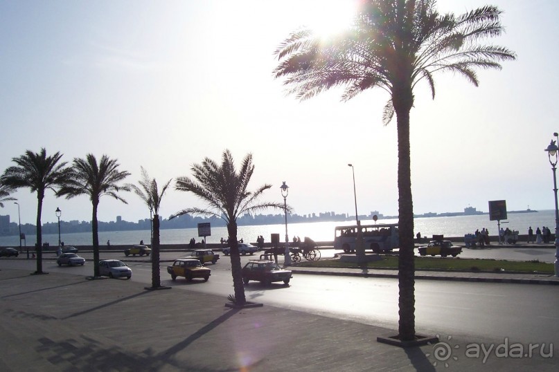 Египет часть 15: Александрия: античная и современная