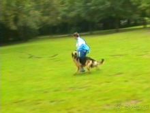 А вот и Берлин!