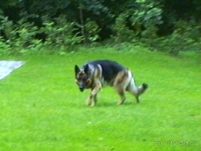 А вот и Берлин!