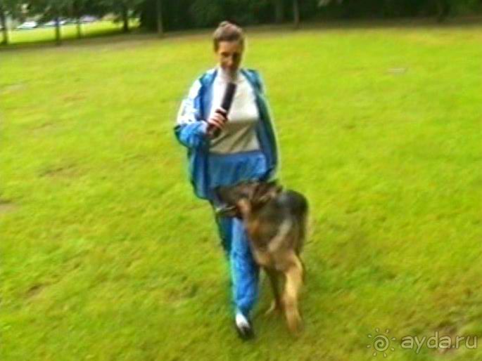 А вот и Берлин!