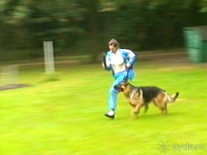 А вот и Берлин!