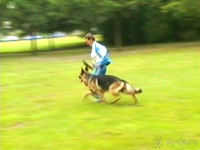 А вот и Берлин!