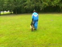 А вот и Берлин!